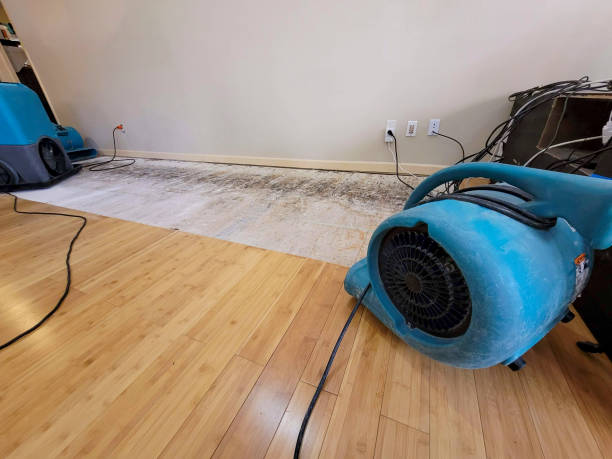 Professional Emergency Water Damage technician working in Rohnert Park, CA